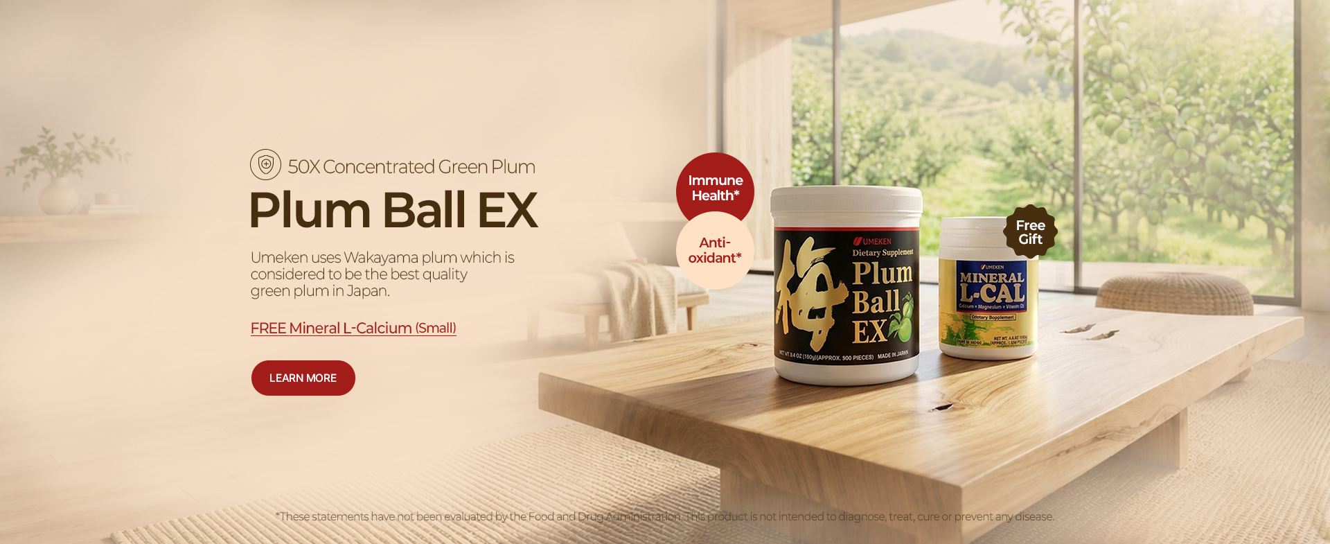Plum Ball EX