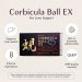 Corbicula Ball EX (2 Large +1 Small) / 5 mth supply