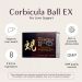 Corbicula Ball EX / 1 mth supply (30 packets)