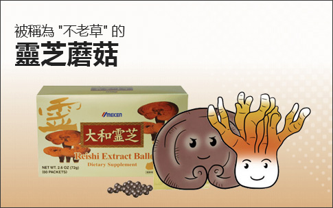 Reishi Extract Balls